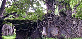 Bunce Island - Slave Castle Ruins